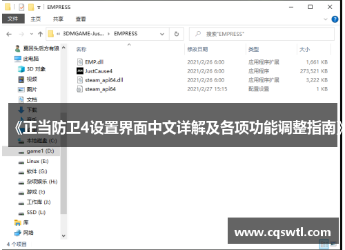 《正当防卫4设置界面中文详解及各项功能调整指南》